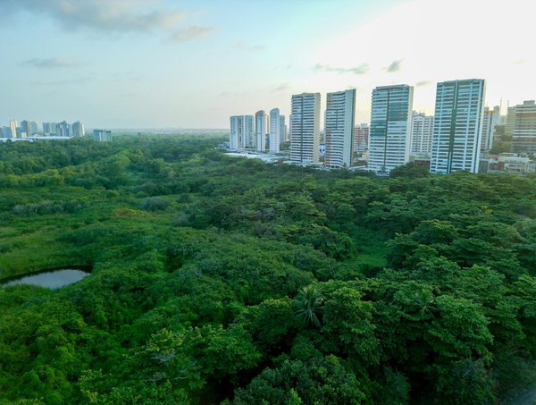 Atelier Gourmandise Junior : Recettes Faciles et Astuces Ludiques pour des Enfants Épanouis en Cuisine !