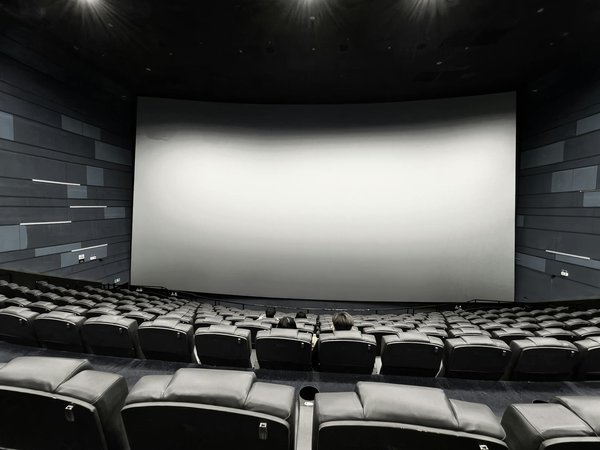 10 idées créatives de suspensions murales pour plantes à adopter