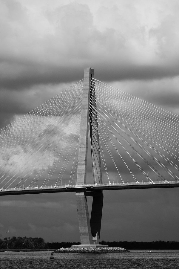 Les animaux dans la mode : entre tendances et abus